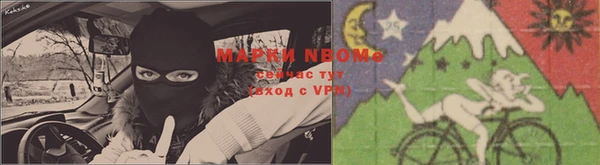 не бодяженный Щигры