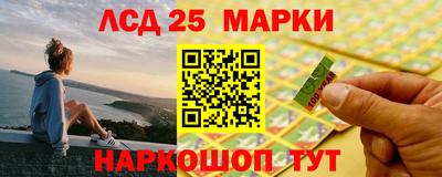 кокс Донской