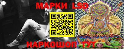 кокс Донской