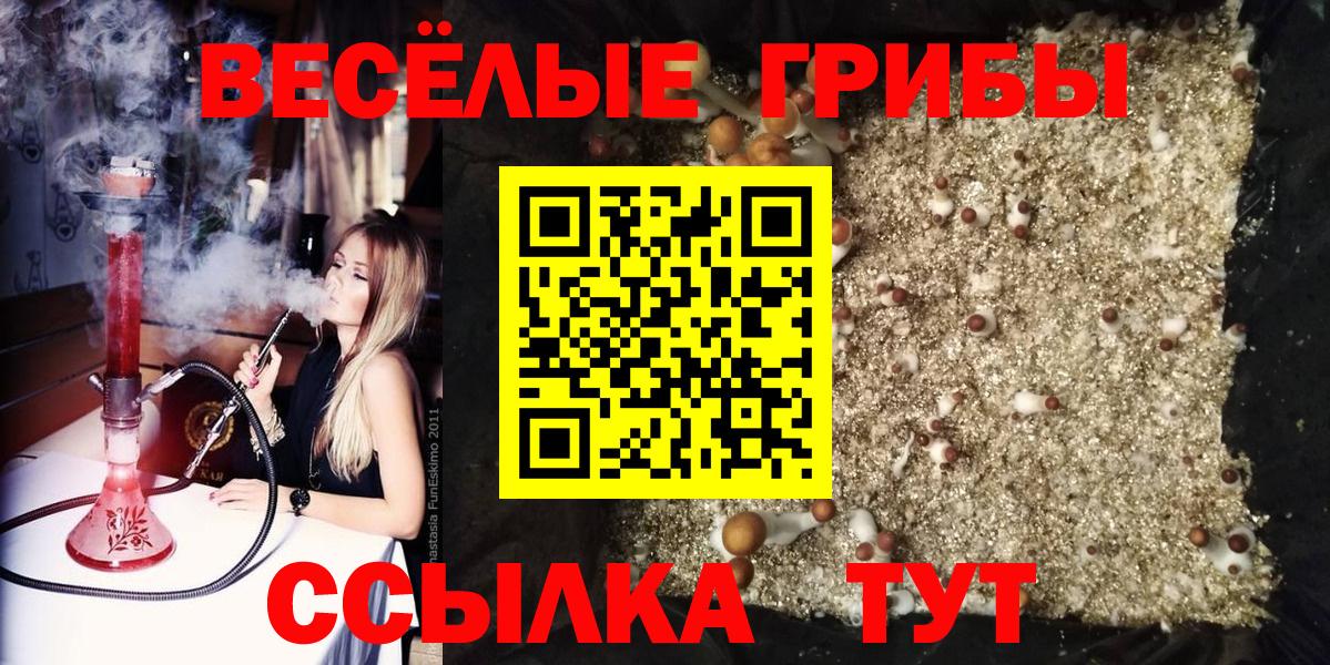 Псилоцибиновые грибы Psilocybine cubensis  как найти закладки  Кисловодск  Вход с VPN 