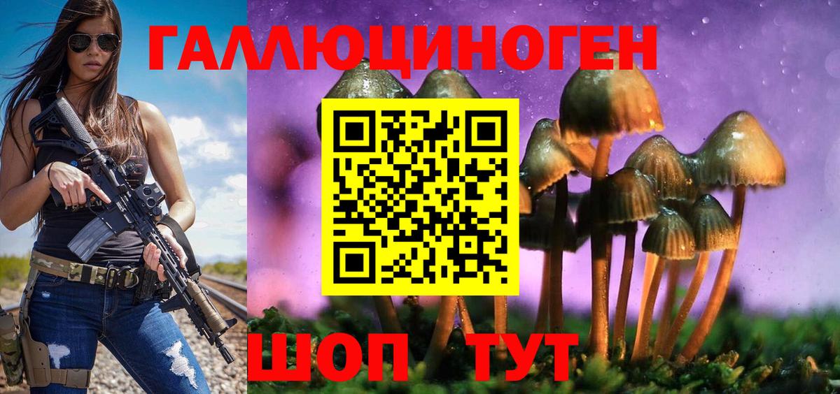 Галлюциногенные грибы Psilocybe Кисловодск