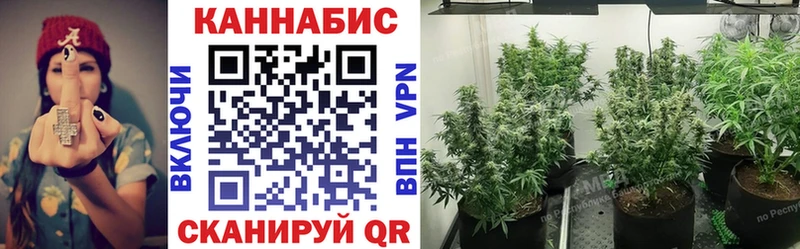 МЕГА зеркало Кисловодск Бошки марихуана Bruce Banner